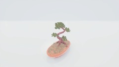 Bonsai 4