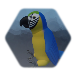 Macaw Parrot