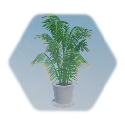 Parlor Palm Tree