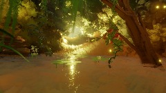 Illuminate Forest