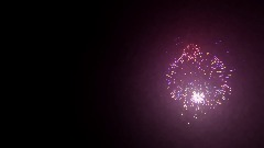 Dexter & Jerry's Firework show time