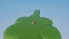 Short Grass Environment