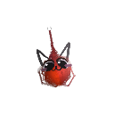 PingusKong
