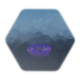 Végétation et autres