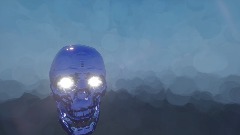 Skull