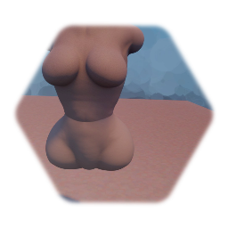 The Female Muscular Structure