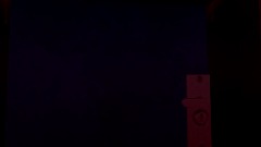 Five nights at fredbear