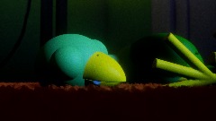 Green Bird Sleeps