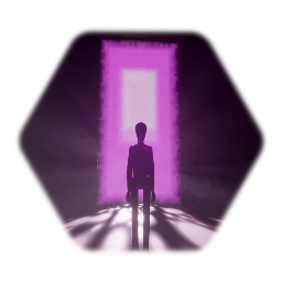 Portal with 2 way Door