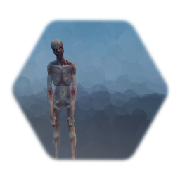 Modified Enemy Zombie