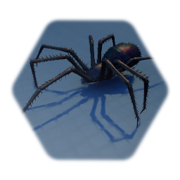 Spider walk test