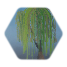 Weeping Willow Tree