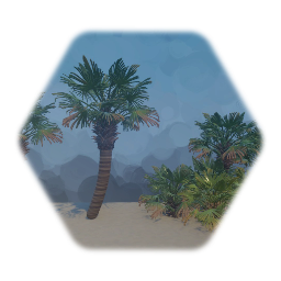 Needle Palm DwarfTree