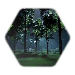Nighttime forest