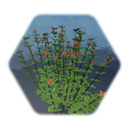 Plants & Bushes