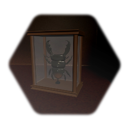 Stag beetle in case