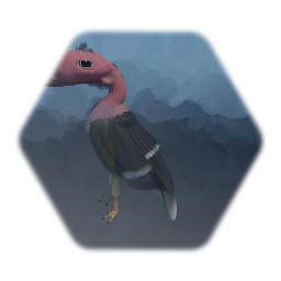 Vulture animation test