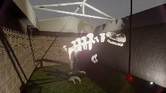 Inside a Closed Museum