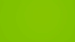 Music Video - MNDYNGHTCRW