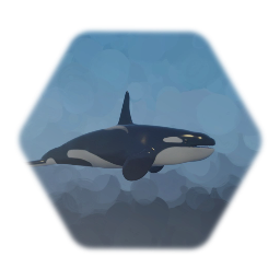 SHOUT! (about orcas)