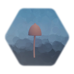 A Wild Mushroom - 13/1/2021