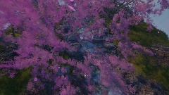 Remix of Sakura by Fujisan