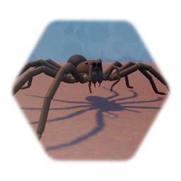 Spider