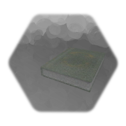 Amnesia prop: A book