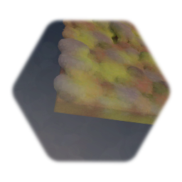 Forest floor 1