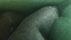 Filmato - La Caverna Mostruosa with Squiddy and Anto