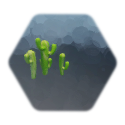 Cactus plants