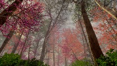 A screenshot taken in Dreams. 4 of 23.