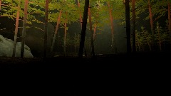 Brazilian Amazon Forest