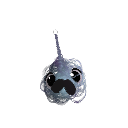 o_kvera_06