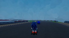 Metal Sonic race