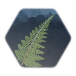 Lady Fern Leaf 02