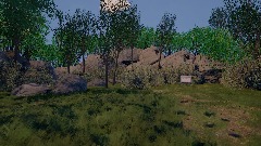 Forest Path