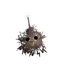 Soupy_1