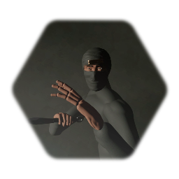 Ninja