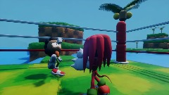 Ray vs.Knuks