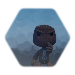 Sackboy