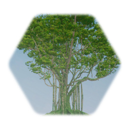 Banyan Jungle Tree