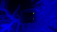 The elevator of surprise [W.I.P]