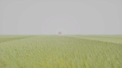 The backrooms Project Level 10 Field of Wheat