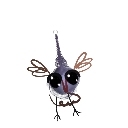 Loutre_Sauvage78