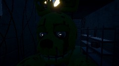 Spring trap memes (part 1)