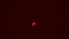 Prey animation (need help)
