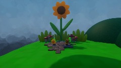 Welcome Home Lil' Chicks!