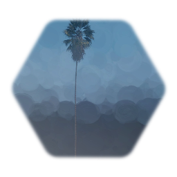 Thermo friendly Mexican Fan Palm