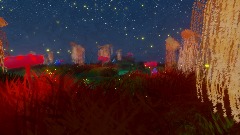 The path to wonderland